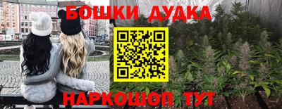 apvp Заводоуковск
