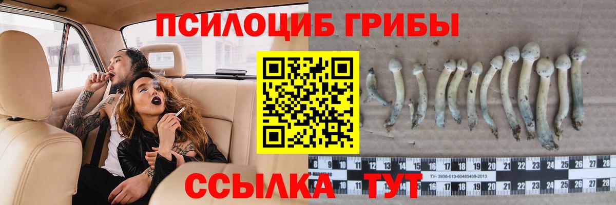 Псилоцибиновые грибы прущие грибы Кунгур