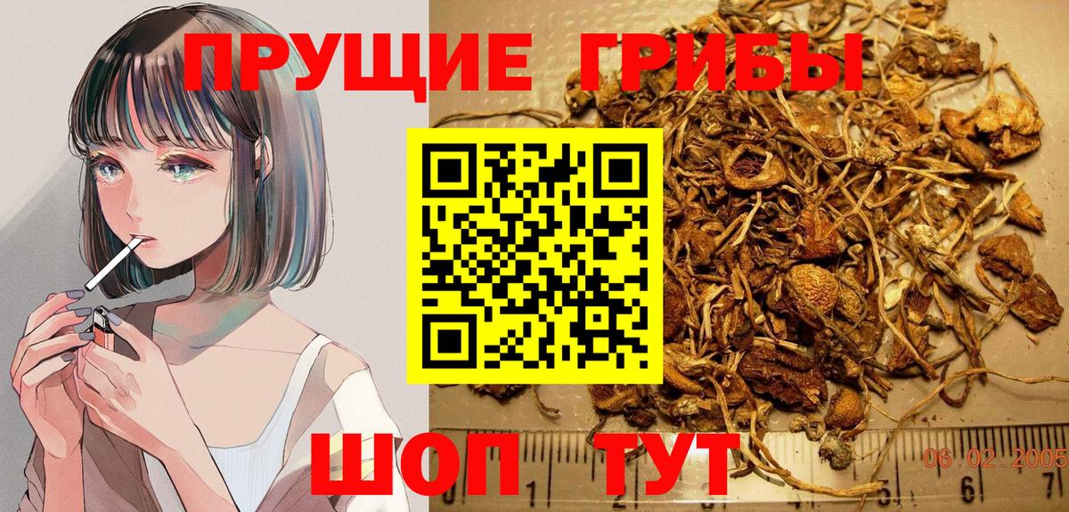 Кунгур  Псилоцибиновые грибы ЛСД  Вход с VPN 