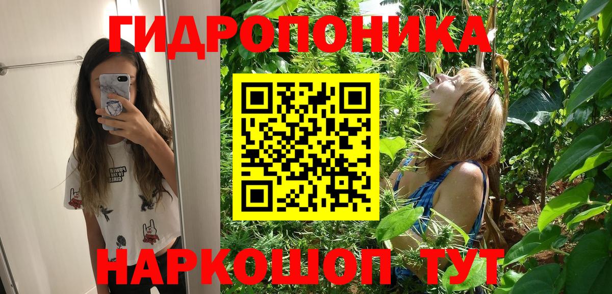 Канабис сатива  Вход с VPN  Кунгур  Бошки Шишки индика 